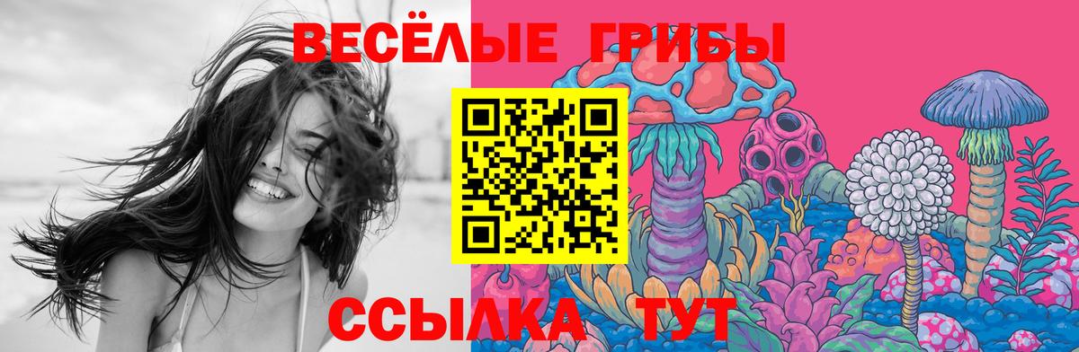 Псилоцибиновые грибы мицелий  Вход с VPN  Лениногорск  купить наркотик  Псилоцибиновые грибы Psilocybe 