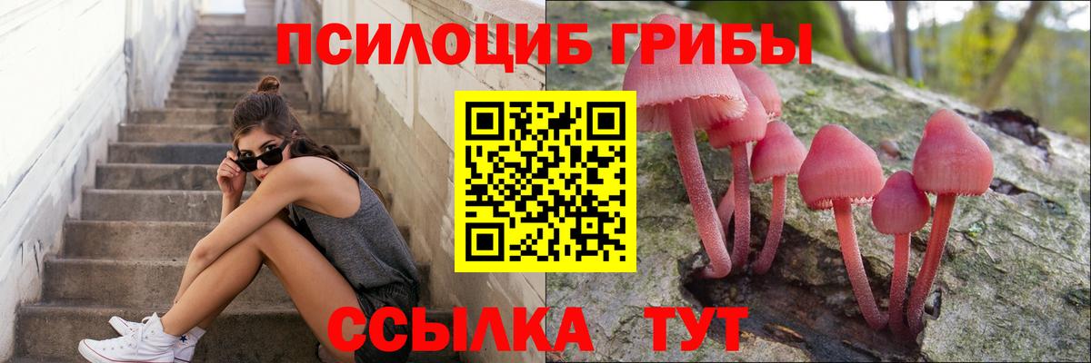Галлюциногенные грибы прущие грибы Лениногорск